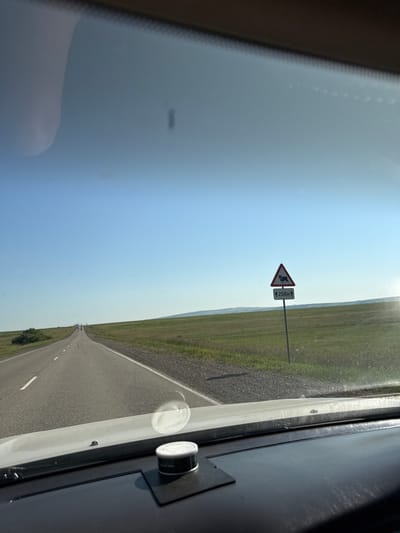 This image shows a view from inside a vehicle looking out at a road in a rural area. The road is asphalt and has white dashed lines indicating lanes. On the right side of the road, there is a traffic sign with a red triangle border, depicting a silhouette of a cow, and below it a rectangular sign with "250M" and an upward arrow. The landscape is dominated by green fields and a clear blue sky. In the distance, the road curves and a few vehicles can be seen. The dashboard of the car is visible in the foreground, with a small white and black container on the right. The location is identified as Kapsal, Russia.