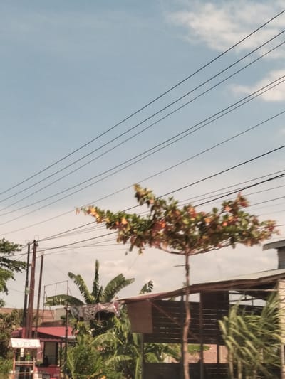 The image, taken in Keudebagok Dua, Indonesia, depicts a scene with a predominantly clear, pale blue sky crossed by multiple parallel black electrical wires. Below, a variety of vegetation is visible, including banana trees and a single tree with green and orange leaves in the middle of the frame. A wooden structure and some buildings with red roofs are also present. A utility pole stands to the left of the frame. A small food cart is visible in the lower left. The image is somewhat blurred.
