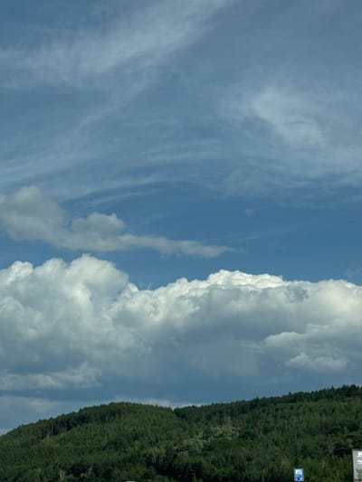 The image depicts a vast, cloudy sky over a densely forested hillside. The sky is a mix of clear blue patches and various cloud formations, ranging from wispy streaks to large, cumulus clouds. The sun is not directly visible, but its light illuminates the clouds, creating a sense of depth and texture.

Below the sky, a steep hillside is covered in a thick, green forest. The trees are a uniform green, suggesting a coniferous forest, with some variations in shade and density. The foliage appears lush and healthy, indicating a thriving ecosystem.

In the lower right corner of the image, two road signs are partially visible. One is a blue square sign with a white symbol, possibly a directional or informational sign. The other is a white rectangular sign with black text, which is too blurry to read clearly. These signs suggest the presence of a road or highway in the vicinity.

The overall impression is one of a natural, expansive landscape, possibly a rural or mountainous area. The presence of road signs hints at human infrastructure within this natural setting, though no people or vehicles are visible in the frame. The scene is static and peaceful, with a focus on the interplay between the sky and the earth.
