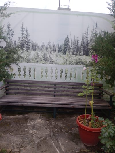 The image shows an outdoor seating area with a wooden bench in front of a mural of a winter forest. A tall, flowering plant with pink and white blooms is in a red pot to the right of the bench. The ground is paved with irregular stones. The mural depicts snow-covered evergreen trees and a decorative railing. The scene is located in Kasumkent, Russia.