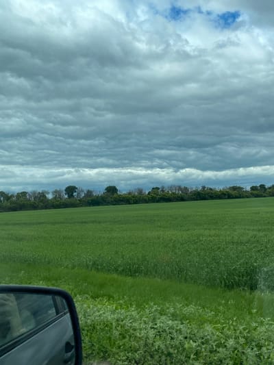 The image shows a wide, green field under a cloudy sky. A line of trees and vegetation borders the far edge of the field. In the lower left corner, the reflection of a person can be seen in a car's side-view mirror. The overall scene suggests a rural or agricultural landscape, possibly in the city of Nadezhdino, Russia.