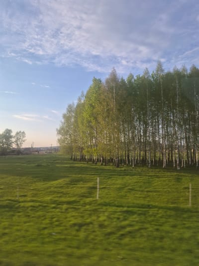 The image depicts a landscape with a line of trees separating a grassy field from a blue sky with scattered clouds. In the distance, structures resembling buildings and power lines can be seen, suggesting the outskirts of a town. The location is Arkhangel'skoe, Russia. The scene appears to be taken during the daytime. No people or animals are visible.