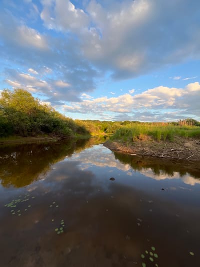 This is a photograph of a river with trees and tall grass on its banks, under a cloudy blue sky. The water reflects the sky and vegetation. The scene appears to be a natural landscape in the city of Mayak, Russia. There are no people or animals visible in the photograph. The lighting suggests it might be late afternoon or early evening.