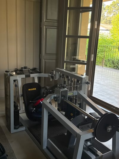 A weight machine stands indoors near a closed, multi-pane glass door. Green foliage is visible through the windows, suggesting an outdoor space. The machine is gray and black, appearing robust and complex with various weights and mechanisms. A black protective pad with "momo" printed on it is part of the equipment. The interior space has light gray paneling, creating a clean and organized aesthetic.