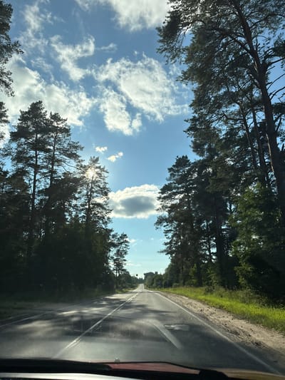 A straight, two-lane asphalt road stretches into the distance, flanked by tall pine trees on both sides. The road surface appears wet and reflective, with visible white lane markings. Sunlight filters through the trees, creating dappled shadows on the pavement. The sky above is blue with scattered white clouds, and the sun is visible behind the trees on the right side of the frame, partially obscured by foliage. The environment suggests a rural or natural setting, possibly a forest road in the vicinity of Vyra, Russia. No people or vehicles are discernible in the image. The photograph seems to be taken from a vehicle, looking forward along the road.