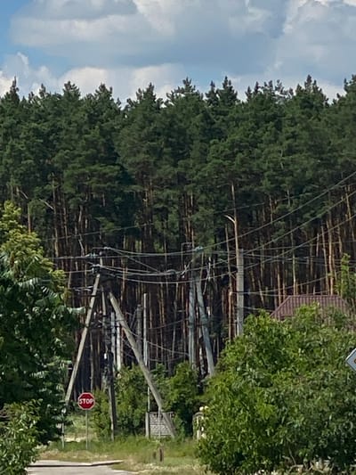 The image shows a road in the city of Liutizh, Ukraine, lined with a dense forest of pine trees. In the foreground, a stop sign is visible next to a power pole with numerous wires. A house with a brown roof peeks out from behind the trees in the background. The sky is partly cloudy.