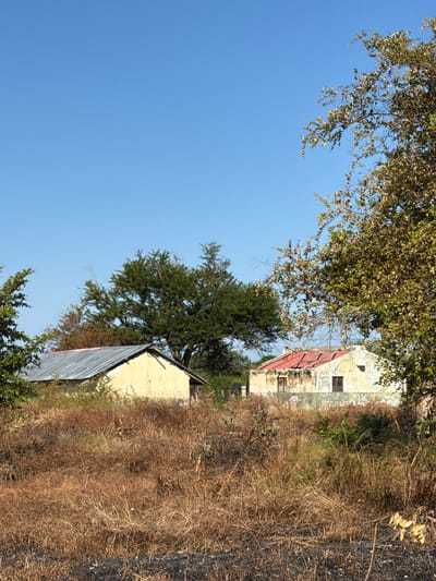 A partially obstructed view of buildings in Muitua, Mozambique, is seen from a low angle. A single-story building with a red roof is situated behind dry, overgrown vegetation. Another building with a lighter facade and a grey roof is in the background. The sky above is clear blue. The scene is obscured by trees and foliage.
