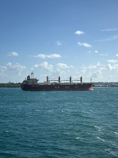 A large, dark red cargo ship, identified by the letters "UBC" on its side, sails on a bright blue, choppy ocean under a clear sky with scattered white clouds. The ship has multiple cranes and a towering superstructure. In the background, a green, tree-lined coastline is visible with buildings and structures suggesting a city or port. The image captures a bright, sunny day at sea near an urban area, likely the port of Pointe-à-Pitre, France, given the presence of a large cargo vessel and coastal cityscape.