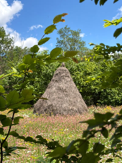 The image depicts a conical haystack in a meadow of wildflowers, framed by green foliage. The haystack is situated in the background, surrounded by lush green trees. The meadow in the foreground is densely populated with pink, white, and yellow wildflowers. The sky is a vibrant blue with scattered white clouds. The scene is bathed in sunlight, suggesting a clear day. The specific location in the city of Biisi, Georgia, is not discernible from the image. There are no people, animals, or visible actions occurring in the scene.
