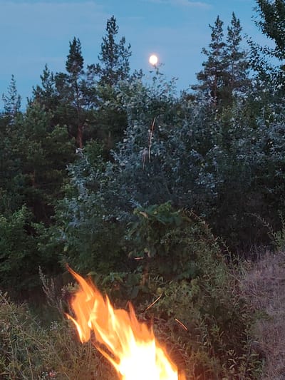 In Staiky, Ukraine, a campfire burns in the foreground against a backdrop of a dense forest at dusk. The flames are vibrant orange and yellow, casting a warm glow on the surrounding dry grass and brush. In the middle ground, a variety of trees, including tall pines and deciduous trees with lighter foliage, create a textured wall of green. Above the trees, a pale, luminous full moon is visible in the twilight sky. The sky itself is a soft, clear blue, transitioning to a deeper shade at the top of the frame. The scene evokes a sense of peacefulness and the beauty of nature at the end of the day.