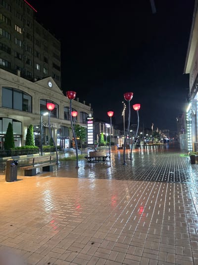 The image depicts a street scene at night in Khasavyurt, Russia, possibly on a pedestrian walkway. The street is paved with interlocking bricks that are wet, reflecting the ambient light. Several streetlights shaped like red tulip flowers on tall, thin stalks are present, casting a red glow. In the background, buildings line the street, some with illuminated windows and storefronts. A large building on the left features a clock face. Benches and trash receptacles are visible along the walkway. The sky is dark, indicating it is nighttime, and there appears to be some light precipitation or moisture in the air, contributing to the wet appearance of the pavement. A few people are discernible walking in the distance, but their details are not clear. The overall atmosphere is one of a quiet, wet, urban night.