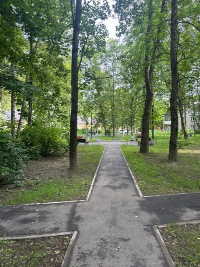 The image depicts a park-like setting in an urban environment, possibly a residential courtyard, in Kuzmolovskiy, Russia. The scene is dominated by lush green trees with full canopies, casting shadows on the grassy ground. A paved pathway, forming a cross shape at an intersection, cuts through the greenery. The pathway appears to be made of asphalt and shows signs of wear and dampness in places.
On the left side of the pathway, dense foliage and more trees create a natural barrier. In the background, several multi-story apartment buildings are visible, indicating a residential area. These buildings have a typical Soviet-era architectural style, with light-colored brick facades and numerous windows. Park benches and what appear to be trash receptacles are placed along the pathway, suggesting a public amenity. A white car is partially visible in the distance, parked near one of the buildings.
The time of day appears to be daytime, likely late morning or afternoon, given the lighting conditions and the bright green foliage. The weather seems to be overcast or has recently rained, as indicated by the damp patches on the pathway and the saturated green of the grass and leaves. There are no people actively engaged in any activity within the frame. The overall atmosphere is one of quiet tranquility, characteristic of a typical residential area during a neutral time of day. No text is visible in the image.