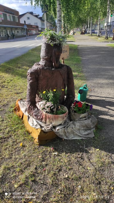 The image shows a sculpted figure, possibly a garden decoration, resembling a person, placed outdoors on a grassy area next to a paved path. The figure is made of a dark, rough material, and appears to be wearing some sort of garment. It is adorned with plants, with greenery and flowers placed on its head and in containers around its body.

Beside the figure is a green watering can, suggesting a theme related to gardening or plant care. Several fabric-like materials are draped around the sculpture, adding to its artistic presentation. In the background, there are birch trees with their characteristic white bark, and a building with windows, indicating an urban or suburban setting. The lighting suggests it is daytime, likely sunny, given the shadows cast on the ground. A small sign is attached to the figure, with some text visible on it. The visible text on the sign reads "HOITAA". There is also a watermark in the bottom right corner that reads "2026/7/8 18:35 REDMI NOTE 9 PRO AI QUAD CAMERA". The overall scene evokes a peaceful, perhaps whimsical, atmosphere, blending nature with art.