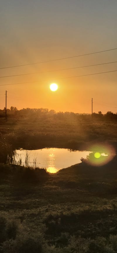 The image depicts a sunset over a rural landscape near Тастөбе, Kazakhstan. A bright, yellow sun is low in the orange and pale gray sky, casting a warm glow over the scene. Three horizontal power lines traverse the sky. In the mid-ground, a small, irregular body of water reflects the sunlight, creating a shimmering surface. Tall reeds grow along the edge of the pond. The surrounding terrain is covered in dry grass and low-lying vegetation, with a line of trees and vegetation forming a distant horizon. Two utility poles are visible in the mid-ground, one to the left and one to the right of the frame, with associated power lines. The overall impression is one of tranquility and natural beauty at dusk.