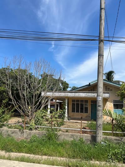 This image captures an outdoor scene in a residential area, likely in Dalam, Indonesia. A prominent concrete utility pole stands to the left, adorned with a dense network of black and gray electrical wires stretching across the bright blue sky, which is scattered with thin, wispy clouds. The pole has a sticker on it with text and numbers, possibly indicating maintenance or identification.

Behind the pole, a pale yellow house with a green roof is visible. The house features a row of windows with visible grates and a covered porch area. In front of the house, a dry, leafless tree with intricate branches extends towards the sky, contrasting with the lush green foliage of other plants in the foreground and around the house. The overall impression is one of a typical tropical day, perhaps late morning or early afternoon given the bright sunlight casting shadows. The scene evokes a sense of everyday life in a tropical climate.