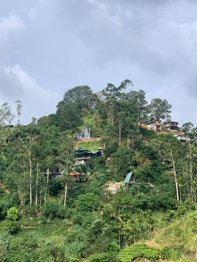 This is a landscape image taken in Ella, Sri Lanka, showcasing a steep, lush green hillside dotted with various buildings and dense vegetation. The sky is overcast with scattered clouds.

In the mid-ground and foreground, a verdant hillside descends. The terrain is covered with a mix of trees, including tall, slender eucalyptus trees with white trunks, and dense, leafy green foliage. Patches of what appear to be tea plantations are visible on some of the lower slopes, characterized by their neatly trimmed rows of low-lying plants.

Several structures are built into the hillside. In the upper right portion of the image, on a higher elevation, are a few modern-looking houses with dark roofs and wooden accents, built on stilts or platforms. Further down the slope, a larger building with multiple levels and a green roof is prominent, featuring balconies and wooden structures. To the left of this, a unique triangular structure with a green roof sits atop a stone base. Scattered amongst the greenery are smaller buildings and what could be guesthouses or residences, many with visible roofs.

In the upper central part of the image, on the crest of the hill, a white structure with a tall, pointed spire, possibly a temple or monument, is visible, surrounded by trees. The overall impression is one of human habitation integrated into a heavily forested and terraced natural environment. There are no visible people or animals in the image. The lighting suggests it is daytime, but the overcast conditions create a diffused light.