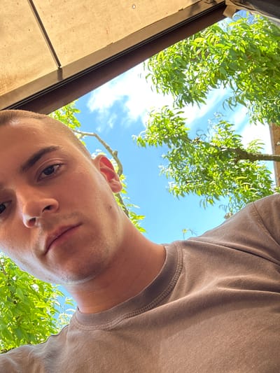 The image is a low-angle selfie taken outdoors. A person with short hair and light skin is looking down at the camera. The person is wearing a brown t-shirt. Above and behind the person, there are trees with green leaves silhouetted against a blue sky with scattered clouds. To the left, there is a corner of a light brown structure or building with a dark brown frame. The location cannot be ascertained from the image.
