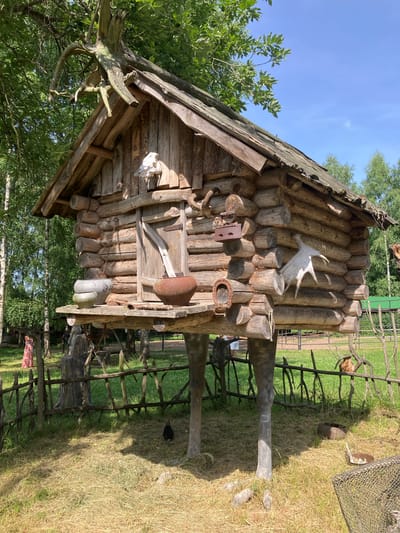 The image captures a rustic, wooden log cabin elevated on stilts, situated in an outdoor setting that appears to be a historical or cultural exhibit, likely within the city of Pushkinskiye Gory, Russia. The cabin's roof is made of weathered wooden shingles, and a gnarled tree root system is prominently integrated into the peak of the roof. Various objects are attached to the exterior of the cabin, including a white animal skull above the door, a rusty iron, a horseshoe, and a stylized white horn-like decoration. A wooden shelf extends from the front of the cabin, holding several pottery items, including two rounded pots and a larger, darker pot. The cabin is supported by two thick, dark, tree-like stilts. A rustic wooden fence encloses a grassy area in front of the cabin. In the background, trees and foliage are visible, suggesting a natural or park-like environment. A person in a long, red and white patterned dress is partially visible on the left, standing behind the fence. A dark-colored rabbit is also visible in the grassy area near the fence. The ground is covered in dry grass and some scattered debris. The sky is clear and blue.