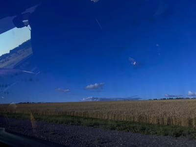 The image shows a wide, golden field of wheat stretching across the horizon under a clear, deep blue sky. A thin, white contrail from an airplane is visible diagonally across the upper portion of the sky. In the foreground, a dark, gravelly path runs along the edge of the field, with green grass bordering the wheat. The scene appears to be viewed from inside a vehicle, as indicated by reflections on the glass, including a rearview mirror and part of the car's interior in the upper left quadrant. The landscape suggests a rural setting, likely in the city of Заглядовка, Russia, given the provided context. The lighting indicates it is either late afternoon or early evening.