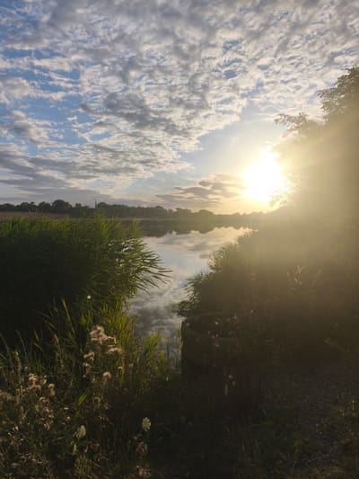 This is a photograph of a lake at sunset, with the sun shining brightly through the trees on the right side of the frame. The sky is filled with clouds, and the water reflects the sky and the surrounding vegetation. There is a path made of gravel on the right side of the image, and various plants and reeds are growing along the edge of the lake. The image appears to be taken in a natural setting, possibly a park or a nature reserve. There are no people or animals visible in the photograph. The overall mood of the image is peaceful and serene.
