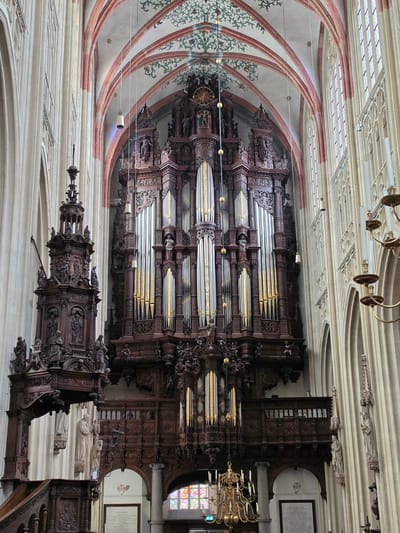 This image shows the interior of St. John's Cathedral in 's-Hertogenbosch, Netherlands. The focal point is a large, ornate wooden organ case with golden pipes, positioned centrally against a tall, light-colored stone wall. To the left of the organ is a dark wooden pulpit, elaborately carved with figures and architectural details. The cathedral's interior features high, vaulted ceilings with painted arches in red and green, and tall, ribbed columns that extend upwards. Several windows with stained glass are visible in the background, and a brass chandelier hangs from the ceiling. White statues of figures are mounted on the columns. The scene is illuminated by ambient light, suggesting it was captured during the daytime.