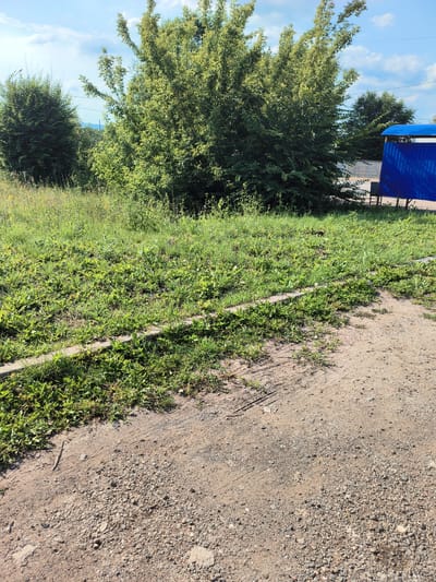 The image depicts an outdoor scene in Pokhvistnevo, Russia, on a sunny day with a partly cloudy sky. In the foreground, a gravelly dirt path is visible, sloping slightly upwards. A strip of overgrown grass and weeds runs along the edge of the path, marked by a low, concrete border. Beyond the grass, a dense cluster of large green trees dominates the midground. To the right of the trees, a bright blue, modular structure with a blue roof is partially visible. The background consists of more trees and distant hazy landscape under a blue sky with scattered white clouds. There are no people or animals visible in the image, and no specific actions are taking place. The overall environment appears to be a semi-rural or park-like setting.