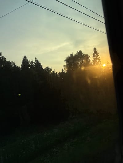 The image captures a sunset viewed through a window, likely from a moving vehicle. The foreground is dominated by a dark silhouetted treeline against a sky transitioning from a pale yellow at the horizon to a light blue at the top. The sun, a bright orange orb, is partially obscured by the trees, casting a warm glow and creating sunbeams that pierce through the foliage. Several dark, thin power lines are visible stretching across the upper portion of the frame. The overall scene suggests a natural landscape at dusk, possibly on the outskirts of a city.
