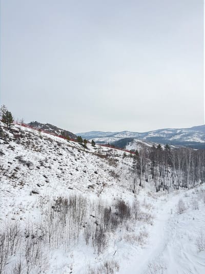 This image depicts a snow-covered mountainous landscape in Novoabzakovo, Russia, under an overcast sky. The scene is dominated by a large, steep slope on the left, partially covered in white snow with visible patches of dark, sparse vegetation and rocky outcrops. A prominent red safety net or fencing runs horizontally along the upper portion of this slope, suggesting a designated recreational area. Scattered coniferous trees with dark green foliage are visible on the upper left slope, interspersed with some bare deciduous trees.

To the right, a valley floor and a gentler incline are densely forested with numerous bare-branched deciduous trees, resembling birch, which stand out against the white snow. Further in the background, multiple undulating mountain ranges, also dusted with snow, extend towards the horizon under the pale, uniform sky. The foreground features additional sparse, bare vegetation poking through the snow. No individuals, animals, or active interactions are visible. The environment indicates a cold, winter season.