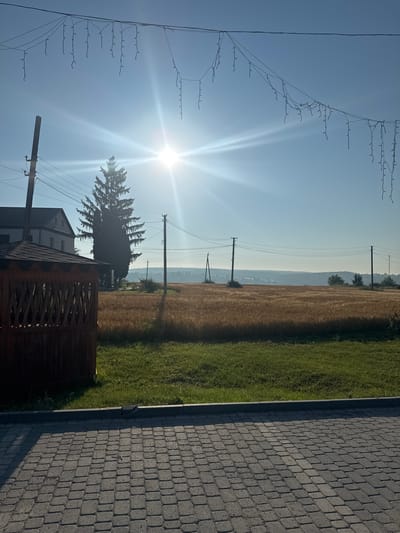 This is a photograph taken in the city of Chemerivtsi, Ukraine, during daylight hours. The scene depicts an outdoor setting with a clear blue sky and bright sunlight, casting strong sunbeams. In the foreground, a paved area made of interlocking gray stones is visible. Adjacent to this is a strip of green grass, and further back, a wooden structure, possibly a gazebo, with a dark-colored, sloped roof and latticework on its sides.
Behind the grass and wooden structure, a large, mature evergreen tree stands prominently. To the left of the tree, a multi-story building with a white facade and a dark roof is partially visible. The midground features a vast field of golden-brown crop, likely wheat or barley, stretching towards the horizon. Several utility poles with overhead wires are scattered across the landscape, indicating the presence of infrastructure. The background shows a gently rolling landscape with distant hills or treelines, partially obscured by a light haze. Decorative string lights are hung across the top portion of the image, suggesting a festive or decorative element, though they appear simple and potentially temporary. The overall impression is a rural or semi-rural environment bathed in bright, clear sunlight.
