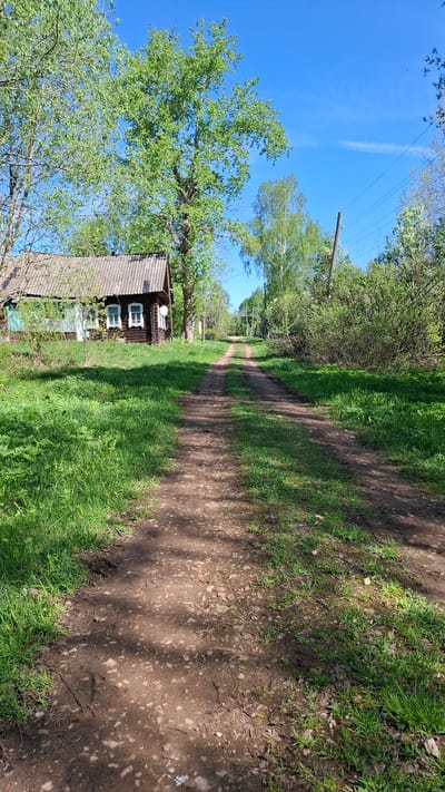 The image depicts a rural scene likely located in or near Шешурга, Russia, characterized by a dirt road leading into the distance. On the left, a small, wooden house with white-framed windows is partially obscured by a large tree with vibrant green foliage. The sky is clear and blue. Power lines are visible above the trees. The road is flanked by patches of green grass and foliage, suggesting a natural, unkempt environment. There are no people visible in the image. The scene evokes a sense of rural tranquility and is defined by the simple architectural style of the house and the natural elements of the surrounding environment.