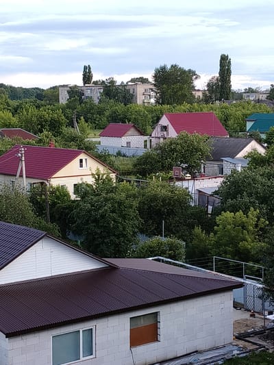 This is a vertical, eye-level, outdoor, daytime, photographic image of a residential area in Petrovsk, Russia. The scene is filled with numerous houses of varying sizes and styles, mostly single-story, with many surrounded by lush green trees and foliage. The houses feature a variety of roof colors, including red, dark grey, and brown. Some houses are constructed with brick or block, while others appear to be wooden. In the distance, taller buildings, possibly apartment complexes, are visible, also surrounded by trees. The sky is overcast with soft, diffused light, suggesting it might be early morning or late afternoon, or simply a cloudy day. The overall impression is one of a suburban or rural residential neighborhood. There is no visible text in the image.