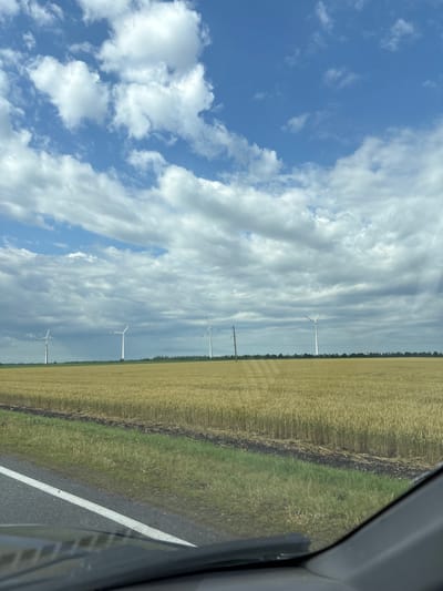 In the city of Zarevo, Russia, a field of ripe wheat stretches under a sky filled with dramatic clouds. The golden stalks of wheat are densely packed, suggesting a bountiful harvest. A road with a white line marking runs along the left side of the frame, indicating its proximity to a transportation route. In the distance, several wind turbines stand tall, their blades gracefully poised against the horizon, symbolizing renewable energy generation. The scene is dominated by the natural elements of the sky, clouds, and the vast agricultural landscape.