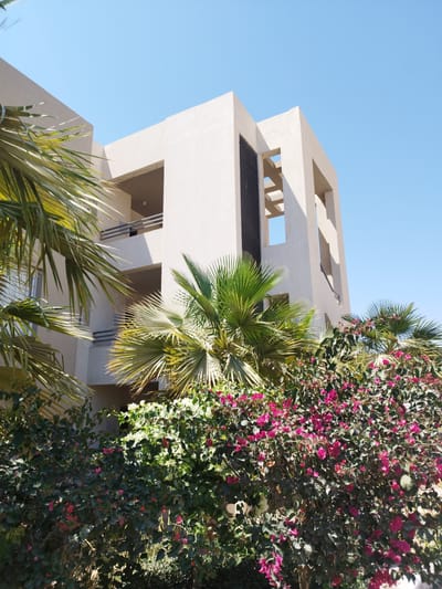 The image depicts a building with a modern architectural style located in Ras Abu Soma, Egypt, under a clear blue sky. The building is light-colored with distinct sections, including balconies and a tower-like structure with open squares. Lush vegetation is prominent in the foreground, featuring palm trees and a dense hedge of flowering bushes with white and pink blossoms. No people are visible in the frame.