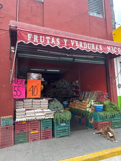 A tilted, medium-shot photograph depicts a fruit and vegetable store in Jilotepec, Mexico. The store, indicated by a red awning with white lettering reading "FRUTAS Y VERDURAS NICO," is located in a red building with a partially visible green-white-red flag above.
The store entrance reveals a deep interior stocked with produce. Outside, stacks of colorful crates are filled with various items. From the top down, there are radishes, fruits, pineapples, and carrots. Below these, there are more unidentified vegetables. Then crates of broccoli and stacks of egg cartons lead the eye to a pink sign labeled "HUEVO" and an orange sign labeled "AGUACATE."
A brown dog with a white patch on its chest rests on the sidewalk next to the crates of produce. The sidewalk is gray-tiled with a yellow curb. The sky is overcast.