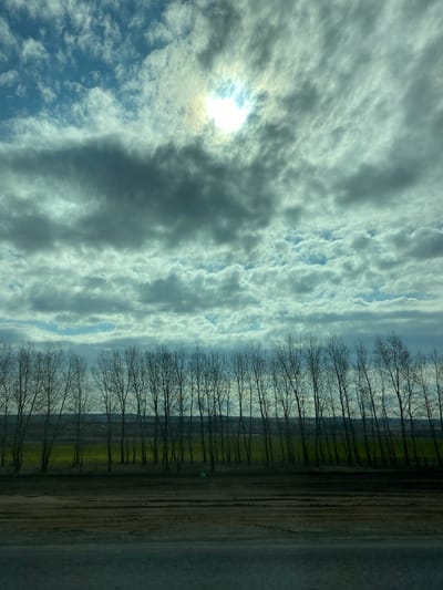 The image presents a wide, horizontal landscape view, likely captured during late autumn, winter, or early spring given the bare trees.
In the midground, a long, distinct line of leafless deciduous trees stretches horizontally across the frame, forming a natural boundary. Their skeletal branches create intricate silhouettes against the backdrop.
Above the tree line, the sky dominates, filled with a dynamic and varied cloudscape. The clouds exhibit diverse textures, from wispy and bright white to more solid, grey, and rippled formations, possibly altocumulus or stratocumulus. The sun is visible in the upper left quadrant, peeking through a lighter patch of clouds, creating a bright glow and illuminating parts of the cloud cover. The sky transitions from brighter blues and whites near the sun to softer greys and blues.
Below the line of trees, a strip of vibrant green field is visible, suggesting either early growth or hardy winter vegetation. In the foreground, occupying the lowest portion of the image, is a broad, dark, and textured area. This appears to be a road, a dirt track, or uncultivated ground, rendered in shades of dark grey and brown, contrasting with the green field.
The time of day is daytime, with the sun providing natural illumination, indicating a partly cloudy weather condition. There are no people, animals, or specific man-made objects (beyond the potential road) visible. No text is present in the image. The scene evokes a sense of vastness and natural tranquility.