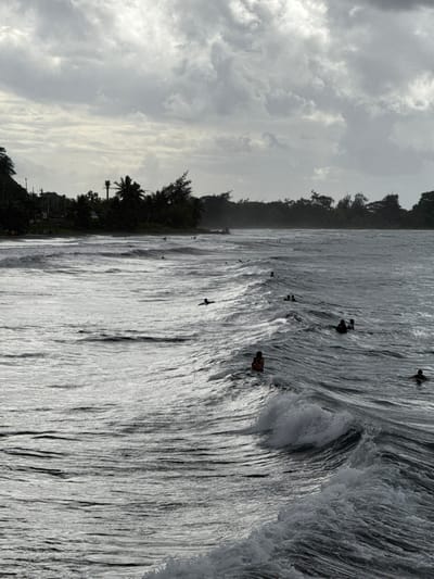 The image depicts an oceanic coastal scene in Māhina, France, under an overcast sky dominated by dense, grey cloud formations. The background coastline features thick, dark green tropical vegetation, including palm trees, with subtle indications of man-made structures along the distant shore. The foreground and mid-ground are occupied by the ocean, characterized by a moderate swell with multiple discernible waves. Approximately 15 to 20 individuals are present within the water, dispersed across various wave patterns. Their actions suggest swimming, wading, or waiting for waves; at least one person is observed prone on a surfboard in the mid-ground. A breaking wave with white foam is visible in the lower right foreground. The ambient light is diffused, casting a muted, silvery-grey sheen on the water's surface.