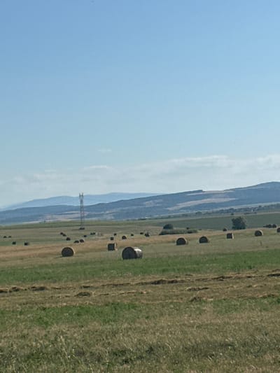 In Meshtitsa, Bulgaria, on a clear day, a vast agricultural field stretches under a pale blue sky. The field is dotted with numerous round hay bales, some fully formed and others partially obscured by the tall grass. In the middle ground, a lone power line pylon stands tall, its metallic structure a stark contrast to the natural landscape. Rolling hills, layered in shades of blue and green, form the horizon, with distant mountains fading into the hazy atmosphere. The foreground is dominated by lush green grass, interspersed with patches of dry, mowed hay, indicating recent agricultural activity.