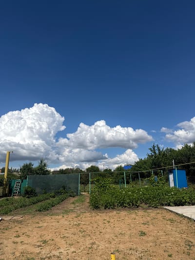 The image depicts a sunny day with a bright blue sky and large, fluffy white clouds. The scene appears to be a rural or suburban outdoor setting, possibly a backyard or garden in Privolzhskoye, Russia. In the background, there is lush green vegetation and trees, with a small blue building. There are also some green fence posts and a green mesh fence. The ground in the foreground is sandy and dry, with sparse vegetation. A yellow pole is visible in the lower right portion of the image. The lighting suggests it is daytime, likely midday or early afternoon, given the strong sunlight and the contrast between the bright sky and the shaded areas. There is no discernible activity or event taking place, and no people are visible. The overall impression is one of a peaceful, warm day in the countryside.