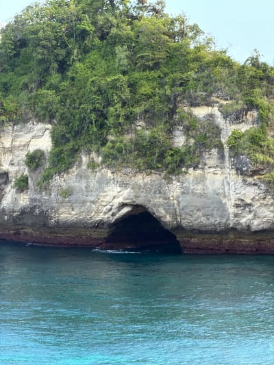 The image depicts a coastal rock formation, likely a cliff face, located in Pejukutan, Indonesia. The rock is predominantly gray with varying shades and textures, suggesting different mineral compositions and erosion patterns. Vegetation, mainly lush green foliage, covers the upper portion of the rock formation and clings to crevices along its surface. A dark, cavernous opening is visible at the base of the rock face, where it meets the water. The water is a blend of turquoise and deep blue, indicating varying depths and reflecting the sky. The image appears to be taken from a boat or a similar vantage point on the water, and the composition is vertically oriented. There are no visible people or animals in the scene.