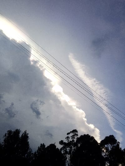 The image presents an upward-angled view of the sky in Nachu ward, Kenya. A prominent, elongated band of intensely bright white cloud stretches diagonally from the upper-left to the lower-center of the frame, appearing strongly illuminated. Adjacent to and above this bright formation, darker grey and diffuse clouds are visible. Four parallel, dark utility lines traverse the sky diagonally, extending from the mid-left towards the upper-right, passing in front of the clouds. A thinner, wispy white cloud is also present diagonally across the mid-right sky. The lower third of the image is occupied by the dark, silhouetted canopy of numerous trees, likely Eucalyptus, observed from below. No individuals or discernible actions are depicted.