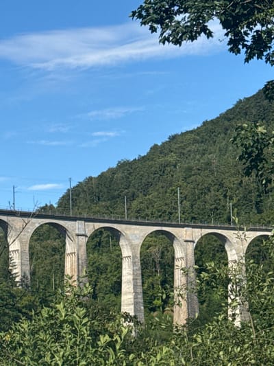 This is a medium shot of a large stone viaduct stretching across a forested valley. The viaduct has multiple arched openings and is made of light-colored stone. The top of the viaduct appears to be a railway line, with visible poles and wires. The valley is densely covered with dark green trees, and a steep, tree-covered hillside rises behind the viaduct. The sky is blue with wispy white clouds. In the foreground, green foliage from trees and bushes partially obscures the lower part of the viaduct. The scene is an outdoor, natural environment.