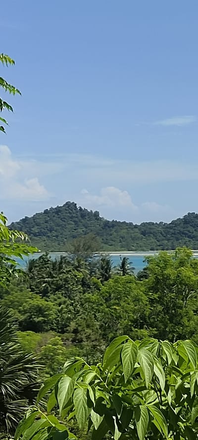 This is a vertical, landscape photograph taken from a slightly elevated position overlooking a tropical scene. In the foreground, lush green foliage, including large, light green leaves, fills the bottom portion of the frame. The middle ground features a dense, green jungle with palm trees interspersed. Beyond the jungle, a body of clear, turquoise water is visible, with a white sandy beach along the distant shore. In the background, a large, verdant, tree-covered hill rises against a bright blue sky with scattered white clouds. The scene appears to be a natural landscape, likely in Layeun, Indonesia, characterized by its tropical vegetation and coastal features. There are no people or identifiable objects in the image.