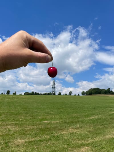 An outdoor, close-up, eye-level, vertical, full shot shows a person's hand holding a red cherry by its stem between their thumb and index finger. The cherry is in focus. The background is out of focus and consists of a wide, green, grassy field, rolling hills with scattered trees, a distant cell tower, and a bright blue sky with white, fluffy clouds. This scene appears to be a landscape view of the area around Schwarzenborn, Germany, likely on a sunny day.