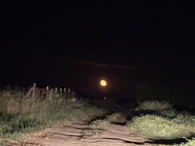 The image depicts a tranquil, rural night scene in Karadjovo, Bulgaria. A dirt or gravel path extends from the foreground into the dark distance, flanked on both sides by dense, tall grasses and shrubbery. On the left side of the path, a weathered wooden fence, composed of vertical posts, is partially visible amidst the vegetation.
The dominant feature of the scene is a large, bright, orange-yellow full moon, positioned prominently in the center of the dark night sky. The moon casts a soft glow, subtly illuminating the path and foliage below. Below the moon, a smaller, fainter light source is discernible, which could be a distant object or an atmospheric artifact. The sky is deep black, revealing a few tiny, faint specks that suggest stars. The overall impression is one of solitude and natural nocturnal beauty. There is no visible text in the image.