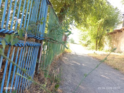 A close-up, low-angle shot captures a weathered blue and green metal fence that runs along the edge of a gravel path in Belovodskoe, Kyrgyzstan. Sunlight filters through lush green trees, casting dappled shadows on the path and illuminating the fence. Several branches and leaves from an overhanging tree are in the foreground, partially obscuring the fence. Beyond the fence, a dirt and gravel path stretches into the distance, flanked by dry grass and vegetation. To the right, a portion of a rustic building with a tiled roof and a rough-textured wall is visible. The image is dated 25.06.2026 at 08:17.