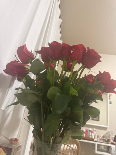 A bouquet of red roses is displayed in a clear glass vase, positioned on a surface that is partially visible in the foreground. The roses are vibrant red, with lush green leaves. Behind the roses, a white curtain or drape is prominent, creating a soft backdrop with visible folds. To the right of the roses, a blurry background suggests an indoor setting with what appears to be a mirror and shelves containing various objects, possibly toiletries or decorative items. The lighting is dim, casting soft shadows. The location is not specified within the image, and therefore, cannot be determined to be in Vancouver, United States of America.