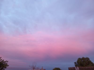 The image captures a serene sunset sky over Buraly, Russia. The sky transitions from a pale blue at the top to a vibrant pink and then a deeper purple towards the horizon. Wispy clouds are scattered throughout, catching the sunset's colors. In the foreground, the rooftops of a few low-rise buildings are visible, some with chimneys. Trees, including a bare-branched tree on the left and a fuller, leafy tree on the right, frame the scene. The overall atmosphere is tranquil and picturesque.