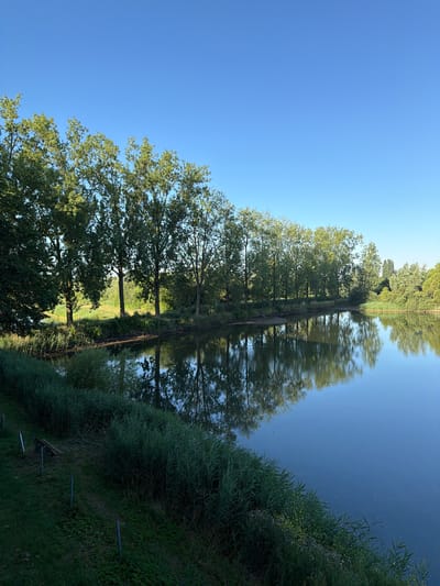 The image depicts a tranquil natural scene, likely a park or a natural reserve. On the left side of the frame, a body of water reflects the clear blue sky and a line of tall, leafy trees. The trees are lush green and appear to be in full leaf, suggesting a temperate climate and a season like late spring or summer. The water's surface is calm, with only slight ripples, allowing for a clear reflection of the trees and sky.

The shoreline is lined with dense, tall green reeds and other aquatic vegetation. Beyond the reeds, a grassy embankment slopes upwards. On this embankment, a rustic wooden bench is visible, accompanied by a few metal posts. Further back, more trees and foliage create a dense green backdrop, hinting at a wooded area. The overall impression is one of a serene, unpopulated natural environment, possibly a public space for relaxation and contemplation.

The image is set in the city of Druten, Netherlands, and showcases a typical natural landscape found in the region. The clean sky and the vibrant greenery suggest pleasant weather conditions. There are no people visible in the frame, and no actions or interactions are taking place, emphasizing the quiet and still nature of the scene. The focus is on the natural beauty of the water, trees, and vegetation, with the bench offering a solitary point of human interaction with this environment.