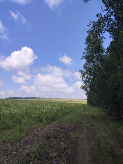 The image shows a dirt road leading into a grassy field dotted with wildflowers, bordered by a dense line of trees on the right. The sky above is blue with scattered white clouds. The scene appears to be rural and undeveloped. There is no information to suggest this image is located in Bakhmut, Russia, or any other specific city.
