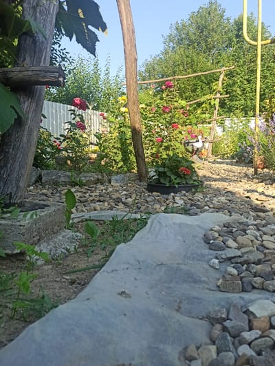 This is an eye-level, wide shot of a garden in Kniazhdvir, Ukraine, on a clear day. The foreground is dominated by a path made of light grey plastic sheeting, covered with various sizes of grey, brown, and white stones. To the left, a large, weathered wooden post with a horizontal wooden support extends upwards. Behind this, a section of white picket fence is visible, partially obscured by lush green foliage and vibrant pink and yellow roses. Further into the garden, more rose bushes are present, some with dark pink or red blooms, and a black pot containing a red flower is visible. A yellow pipe structure stands to the far right, and lavender plants with purple flowers are also in view. The background consists of a dense wall of green trees. The overall scene depicts a well-maintained, rustic garden.